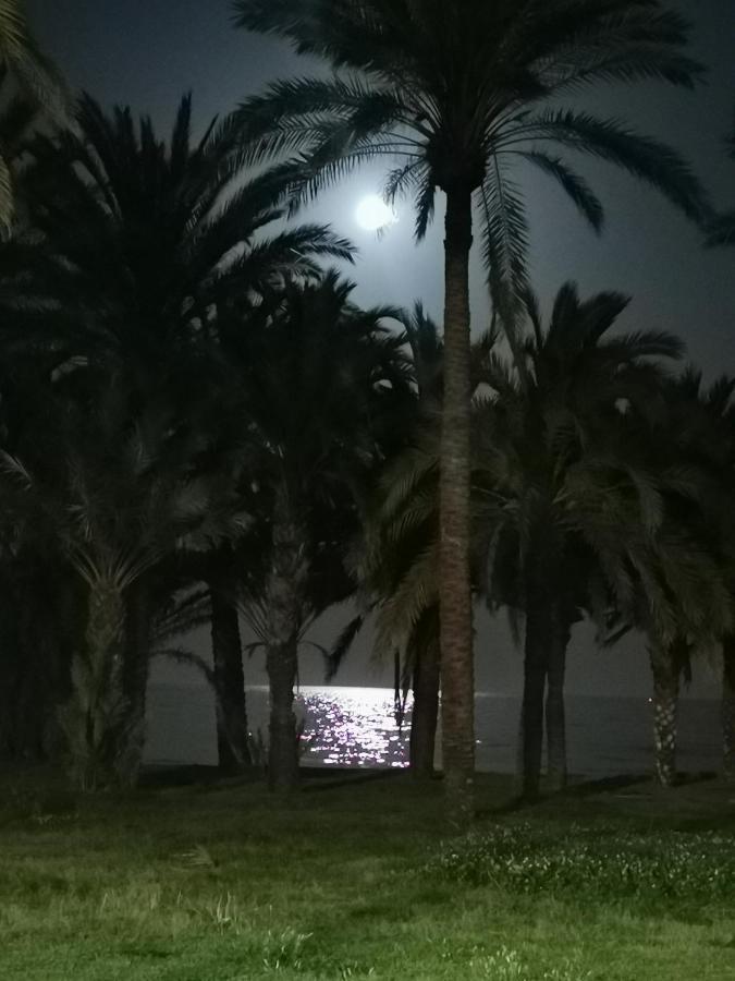 Lido Beachfront Torremolinos Dış mekan fotoğraf