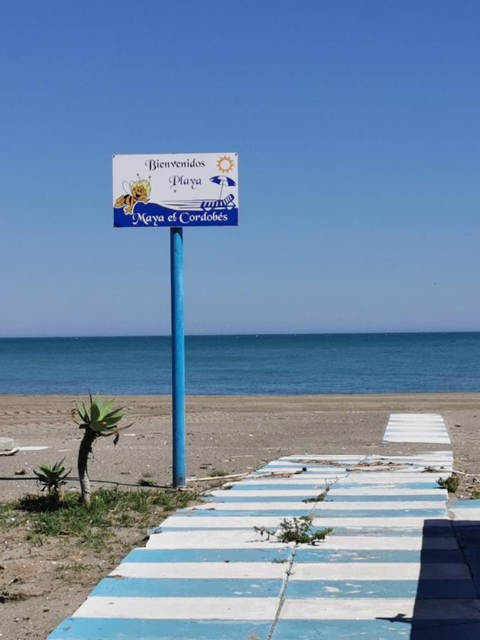 Lido Beachfront Torremolinos Dış mekan fotoğraf